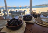 Vendesi stabilimento balneare Olbia – Lido del Sole