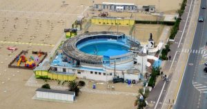 bando delfinario rimini