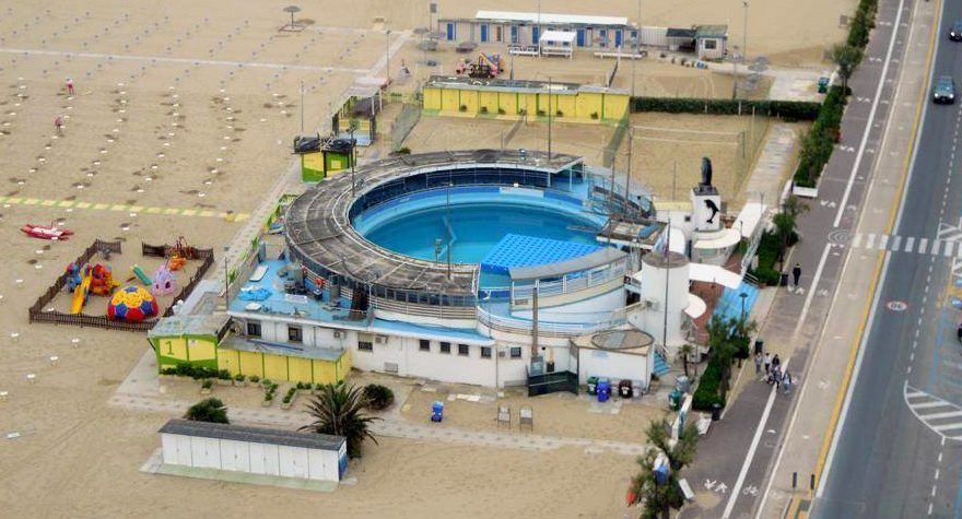 bando delfinario rimini