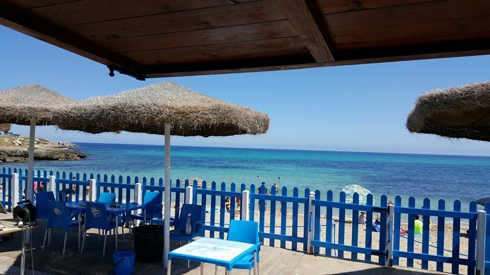 dolphin beach marina di cinisi