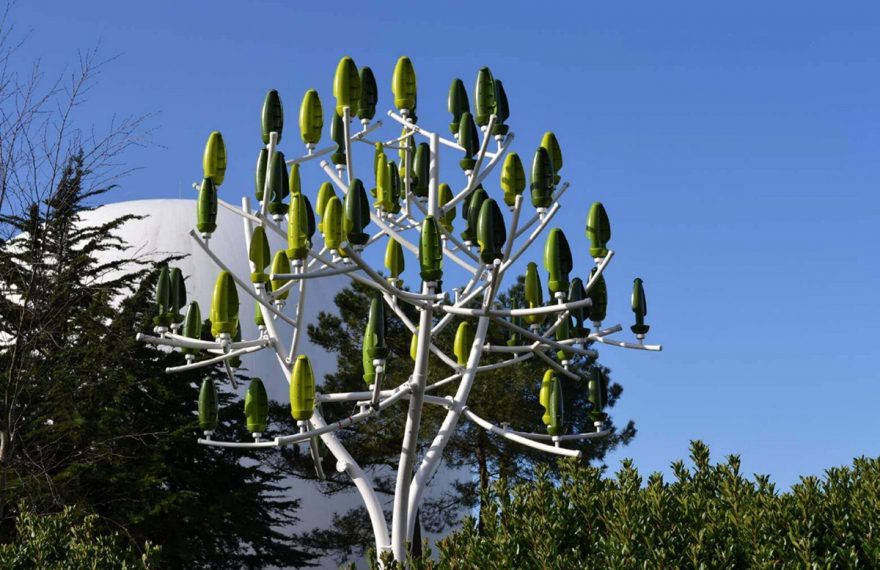 albero del vento