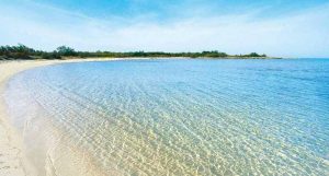 regioni italiane mare pulito