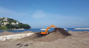 posidonia spiaggiata