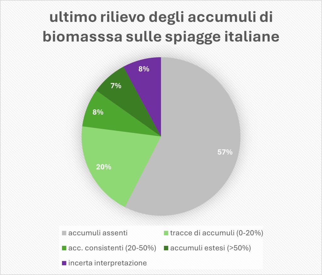 accumuli biomassa spiagge