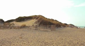 dune costiere