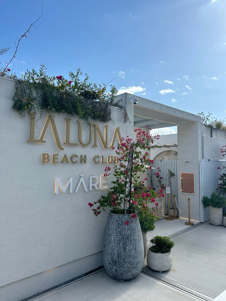 Ingressi scenografici 