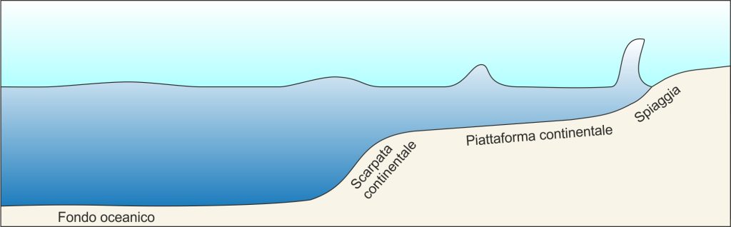 tsunami