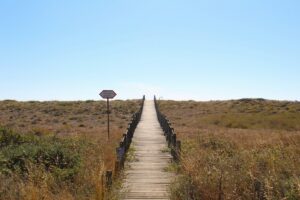 Disegnare il confine della spiaggia