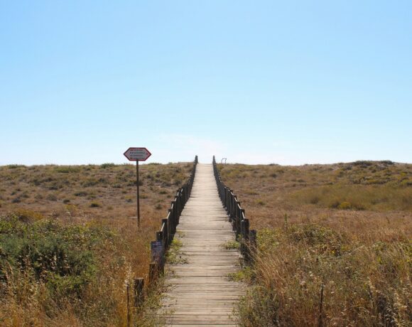 Disegnare il confine della spiaggia