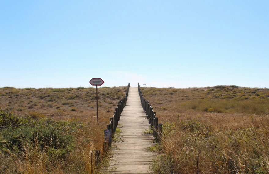 Disegnare il confine della spiaggia