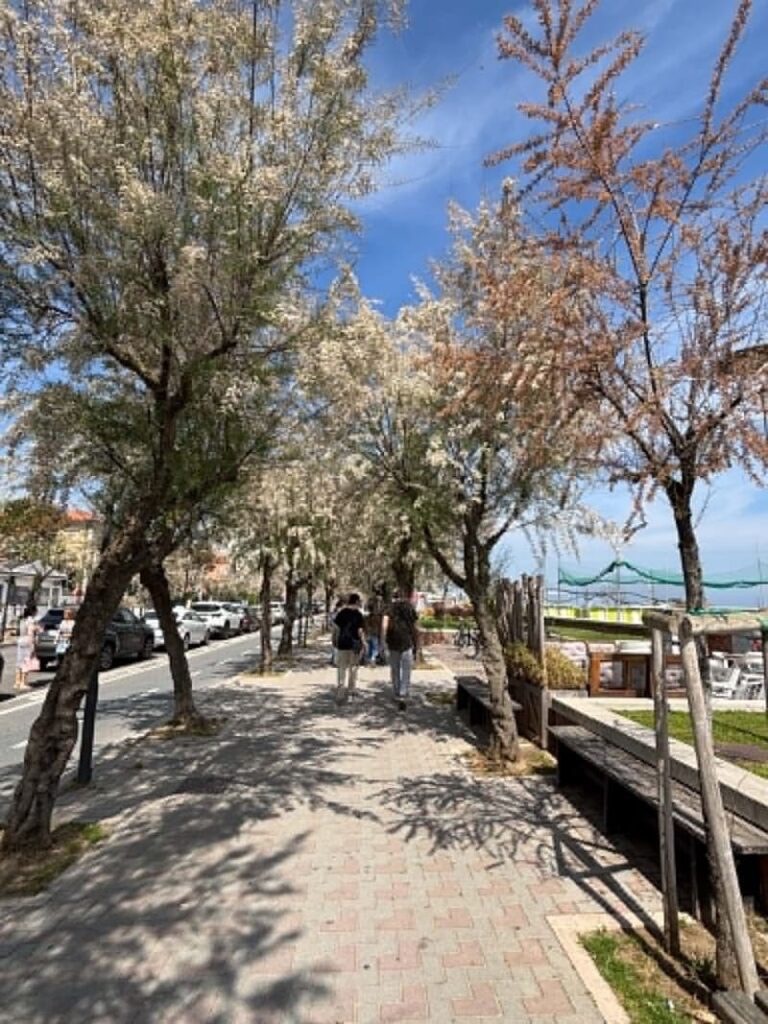 turismo Pesaro e dintorni