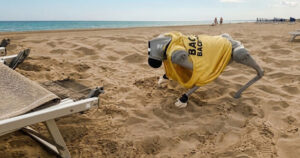 Il cane robot Flipper con la maglietta da bagnino mentre si muove sulla sabbia di una spiaggia a Caorle.