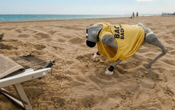Il cane robot Flipper con la maglietta da bagnino mentre si muove sulla sabbia di una spiaggia a Caorle.