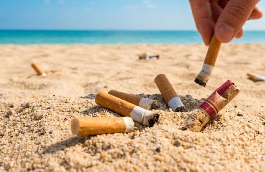 Una mano raccoglie mozziconi di sigaretta dalla sabbia su una spiaggia soleggiata
