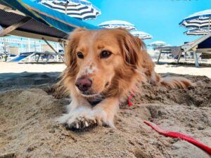riccione