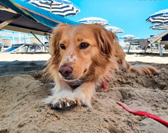 riccione