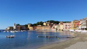 portobello