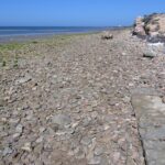 Archeologia sulla spiaggia