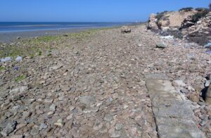 Archeologia sulla spiaggia