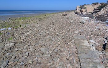 Archeologia sulla spiaggia