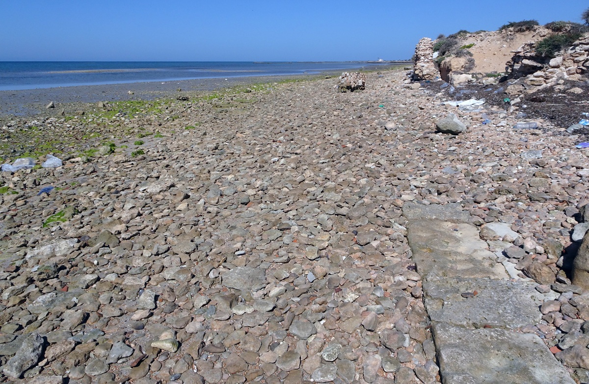 Archeologia sulla spiaggia