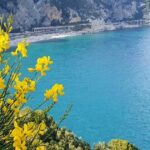 Vista panoramica della costa ligure a picco sul mare con una barca a vela e fiori di ginestra in primo piano