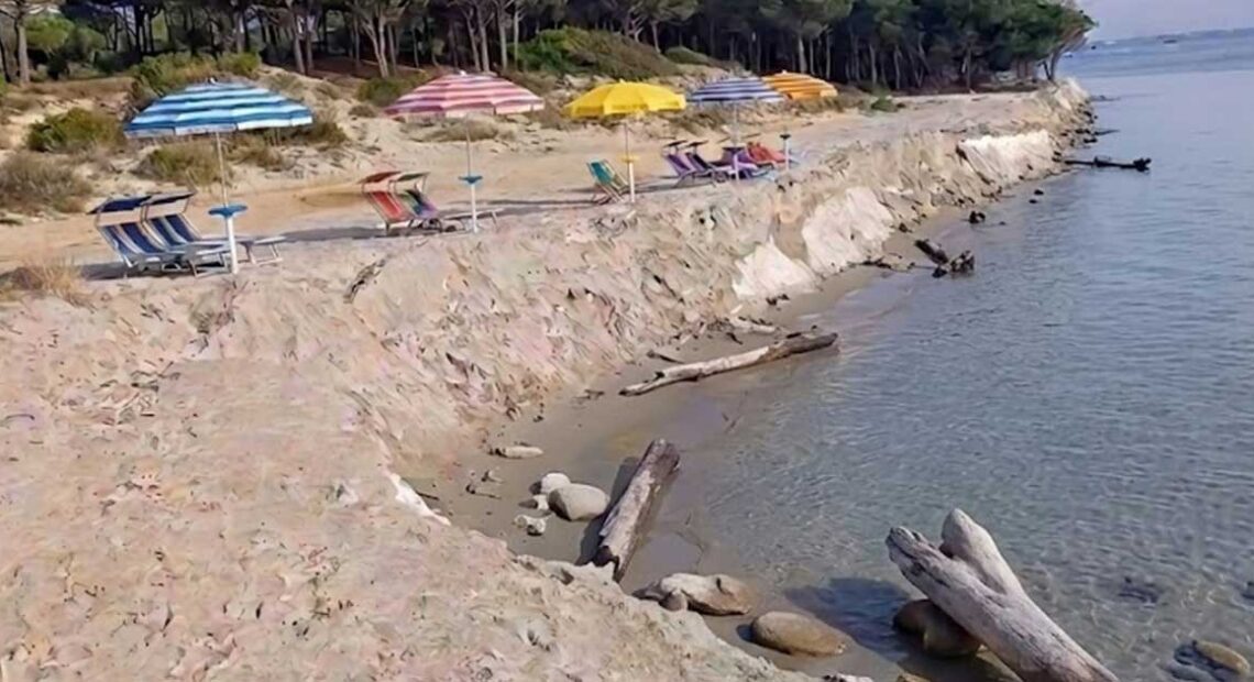 na spiaggia italiana colpita da grave erosione costiera, con un netto gradino di sabbia che separa l'area degli ombrelloni e lettini dalla riva del mare, lambita da tronchi spiaggiati sullo sfondo di una pineta.