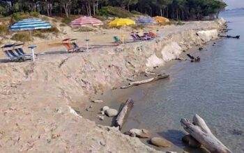na spiaggia italiana colpita da grave erosione costiera, con un netto gradino di sabbia che separa l'area degli ombrelloni e lettini dalla riva del mare, lambita da tronchi spiaggiati sullo sfondo di una pineta.