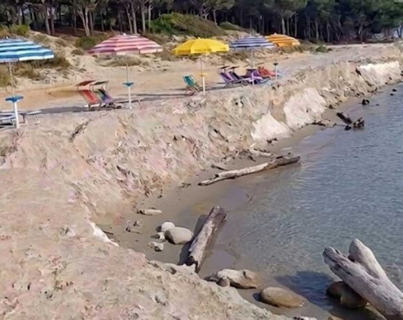 na spiaggia italiana colpita da grave erosione costiera, con un netto gradino di sabbia che separa l'area degli ombrelloni e lettini dalla riva del mare, lambita da tronchi spiaggiati sullo sfondo di una pineta.