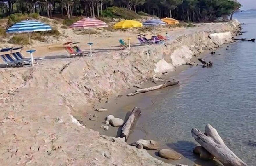 na spiaggia italiana colpita da grave erosione costiera, con un netto gradino di sabbia che separa l'area degli ombrelloni e lettini dalla riva del mare, lambita da tronchi spiaggiati sullo sfondo di una pineta.