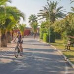 Vista del lungomare di Tortoreto Lido con pista ciclabile, palme, una ciclista e una famiglia a passeggio.