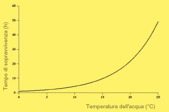 annegamento non nuotatori grafico