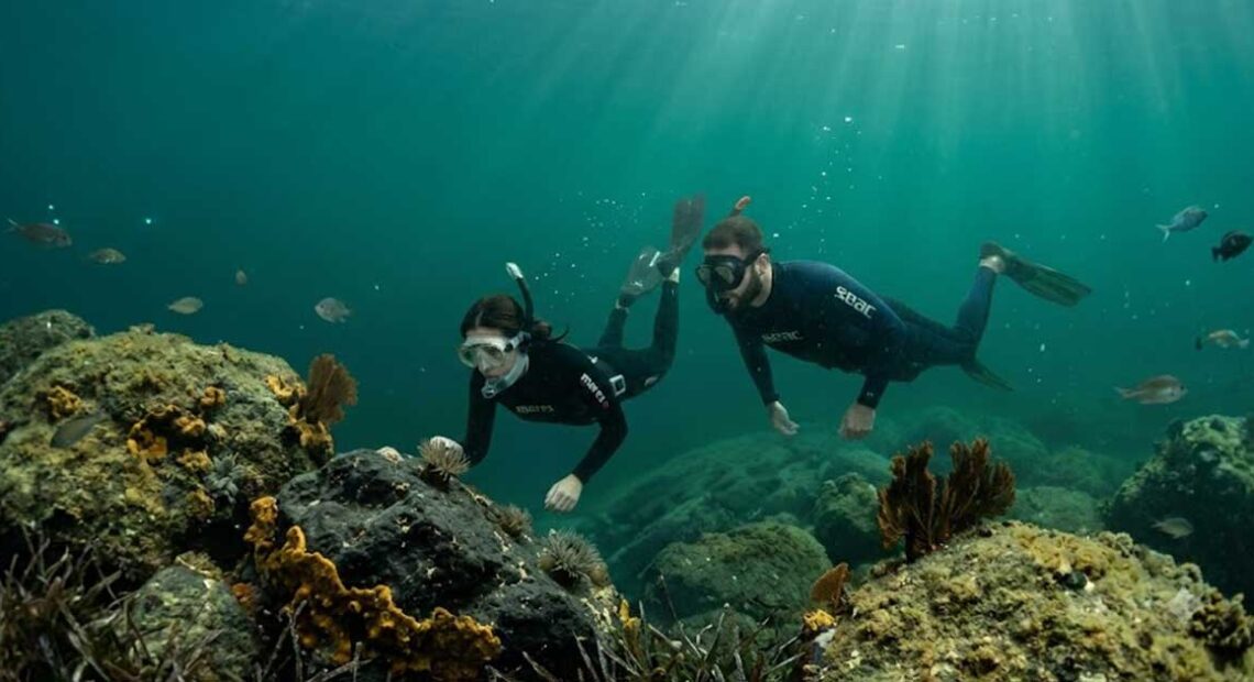 Due sub che fanno bio-snorkeling osservando i fondali e la fauna marina dell'Area Marina Protetta Isola di Bergeggi.