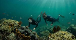 Due sub che fanno bio-snorkeling osservando i fondali e la fauna marina dell'Area Marina Protetta Isola di Bergeggi.