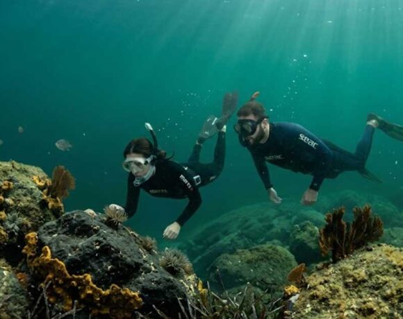 Due sub che fanno bio-snorkeling osservando i fondali e la fauna marina dell'Area Marina Protetta Isola di Bergeggi.