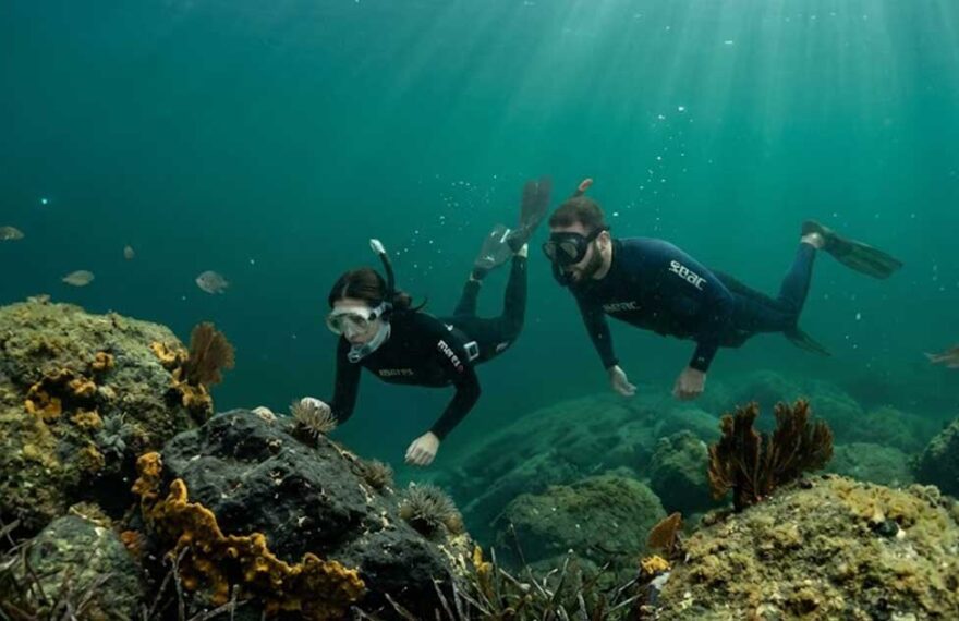 Due sub che fanno bio-snorkeling osservando i fondali e la fauna marina dell'Area Marina Protetta Isola di Bergeggi.