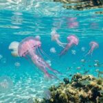 Diverse meduse che nuotano sotto la superficie dell'acqua cristallina di un mare trasparente