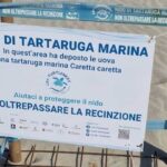 Recinzione di protezione con cartello informativo per un nido di tartaruga marina Caretta caretta sulla spiaggia