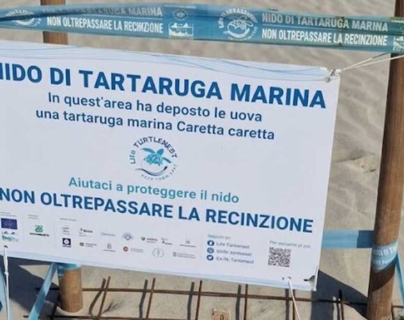 Recinzione di protezione con cartello informativo per un nido di tartaruga marina Caretta caretta sulla spiaggia