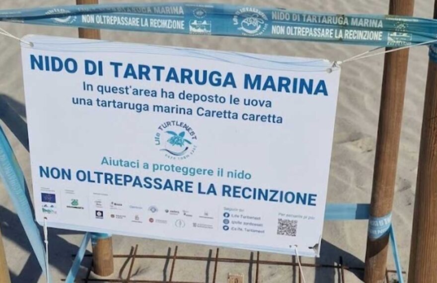 Recinzione di protezione con cartello informativo per un nido di tartaruga marina Caretta caretta sulla spiaggia