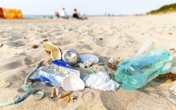 ordinanze rifiuti spiaggia