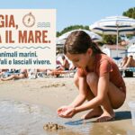 Grafica informativa sul rispetto della fauna marina in spiaggia (immagine generata con intelligenza artificiale).