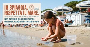 Grafica informativa sul rispetto della fauna marina in spiaggia (immagine generata con intelligenza artificiale).