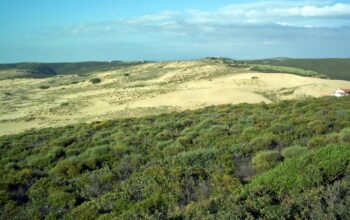 dune