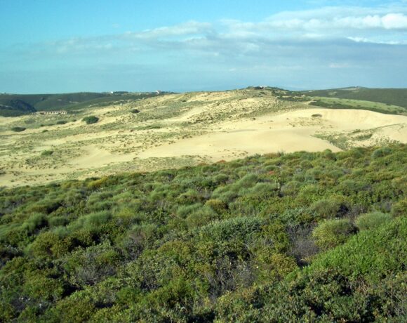 dune