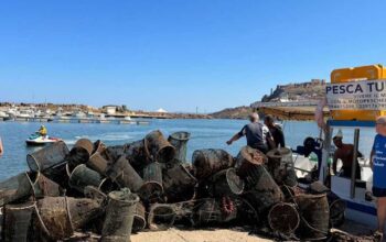 Nasse e attrezzi da pesca recuperati dai fondali nel porto di Castelsardo durante l'iniziativa Fondali Puliti